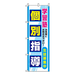 個別指導青