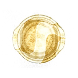 エフピコ 麺容器 MFPホット鍋16-17(40) 本体 香川茶W