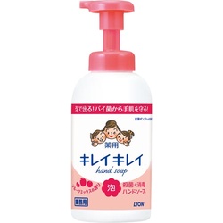 キレイキレイ薬用泡ハンドＳフルーツＭ本体５５０ｍｌ