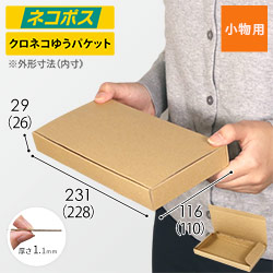 【ネコポス・定形外郵便】厚さ3cm・N式ケース