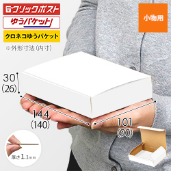クリックポスト・ゆうパケット最小】厚さ3cm・N式ケース（白