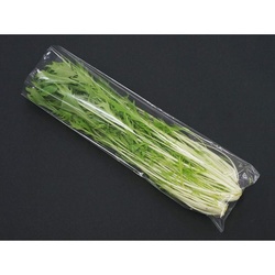 ベルグリーンワイズ 平袋(青果) FG20＃150×450 P入