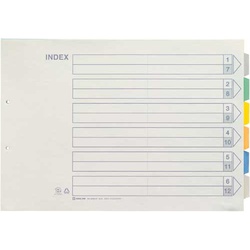 カラーインデックス　Ａ３横　６山　１０組