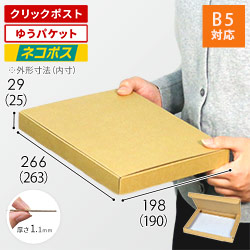 ネコポス・クリックポスト・ゆうパケット】厚さ3cm・N式ケース（B5