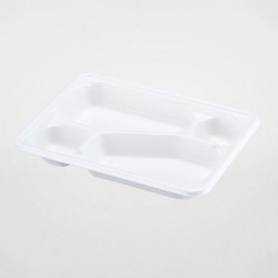 パックスタイル バガス容器 WB弁当 23-17C ラミ