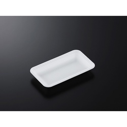 中央化学 発泡トレー CN 20-11E (L)