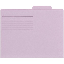 個別フォルダーエコノミー　バイオレット　１０枚