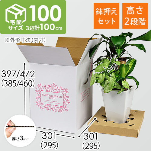 商品（外寸）
