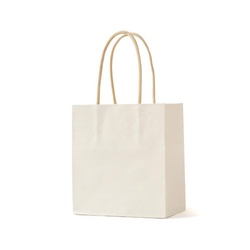 紙手提袋 STジェラート ミルク パックタケヤマ