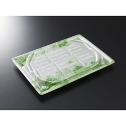 中央化学 刺身容器 漁台24-17 凍風GN 本体