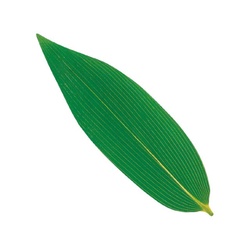 ユニバース フィルムシート グルメシート 熊笹