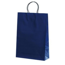 紙手提袋 ST2才 プリティ 紺 パックタケヤマ