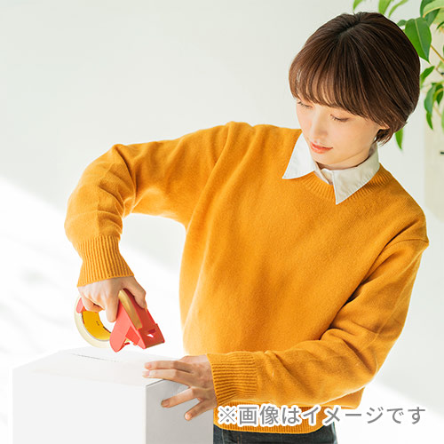 展開時