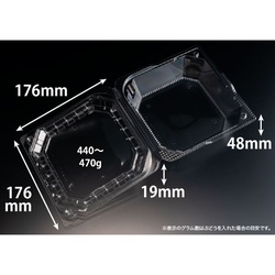 リスパック フルーツ容器 バイオ きらめき 18-18L(60)