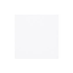 【廃番商品】グラシン紙 10-10 ホワイト