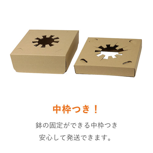 特徴1