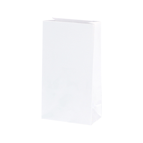 ギフトファンシーバッグ 1-220 無地 白