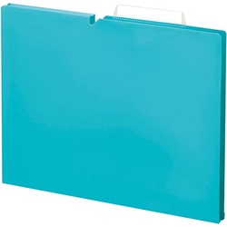 個別フォルダー＜ＮＥＯＳ＞Ａ４　１５ｍｍ水　１０冊