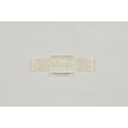 軽食容器 紙竹皮 No.2 福助工業