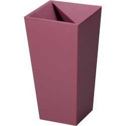 ユニード　カクス　Ｓ−３６　ワインレッド×２０