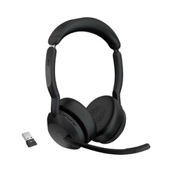Ｅｖｏｌｖｅ２　５５　Ｌｉｎｋ３８０ａ　ＭＳ　Ｓ