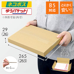 【廃番商品】【とにかく安い】厚さ3cm・ヤッコ型ケース（B5サイズ・ネコポス）