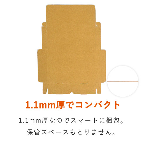 ネコポス・クリックポスト・ゆうパケット】厚さ3cm・N式ケース（B5