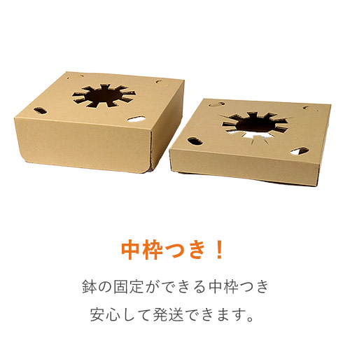 特徴1