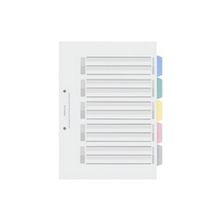 カラー仕切カードＰＰ　Ａ４縦　５山　５組