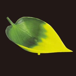 大黒工業 弁当小物 珍味入 熊笹 小