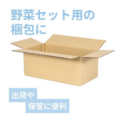 野菜セット用】宅配80サイズ・ダンボール箱（400×200×160mm