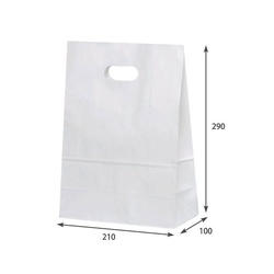 紙手提袋 イーグリップ L 白無地 パックタケヤマ