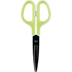 フィットカットカーブフッ素　ホワイト／グリーン