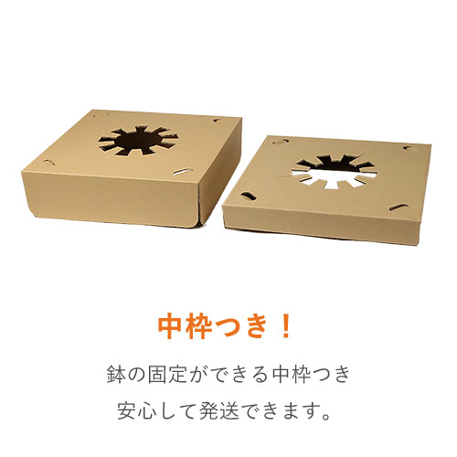 特徴1