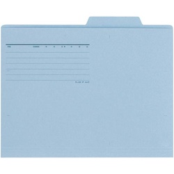 個別フォルダーエコノミー　ロイヤルブルー１０枚