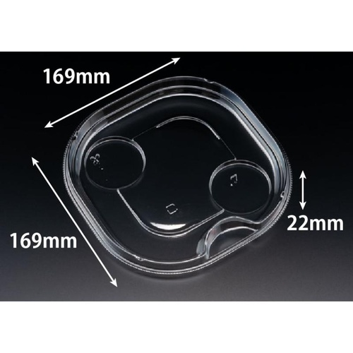 バイオ リーフボウル 18-18 中皿