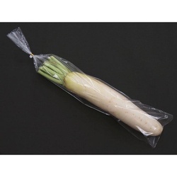 ベルグリーンワイズ 平袋(青果) FG25＃130×600角落 P入