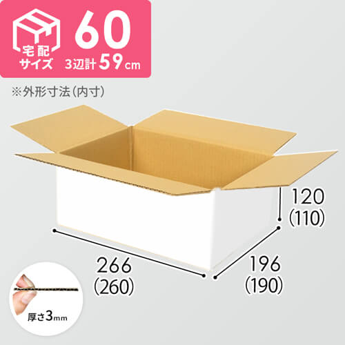 紙もの　詰め合わせ　60サイズ 宅配60サイズ】ダンボール箱（白） | ダンボール・梱包資材 通販No.1