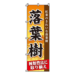 落葉樹