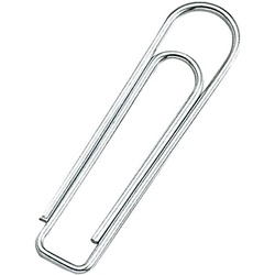 ゼムクリップ　大　約５００本入