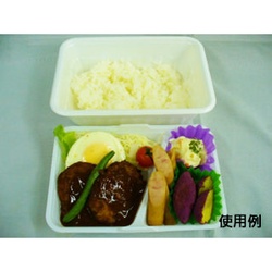 中央化学 弁当容器 CF ランチBOX-2 本体