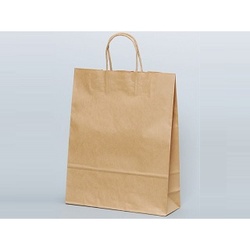 紙手提袋 自動手提袋 HZ 未晒無地 パックタケヤマ