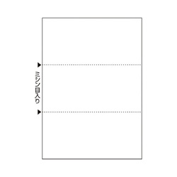 ＦＳＣ（Ｒ）認証プリンタ帳票Ａ４複写白紙　１００枚