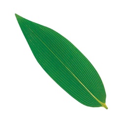 ユニバース フィルムシート グルメシート 熊笹 丸大