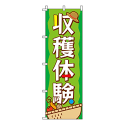 収穫体験緑