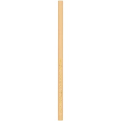 色鉛筆単色　薄橙（１２本入）　３セット