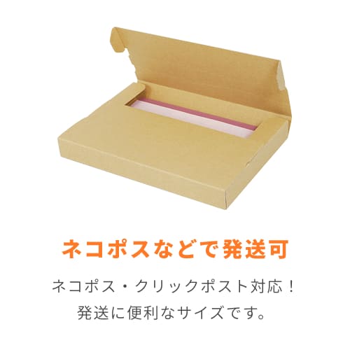 ネコポス・クリックポスト】厚さ3cm・テープレスケース（A5サイズ