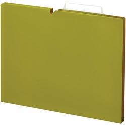 個別フォルダー＜ＮＥＯＳ＞Ａ４　１５ｍｍ緑　１０冊