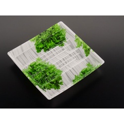 リスパック 発泡トレー TUN-20-20 NEWレタス