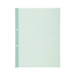 クリヤーブック替紙　Ａ４縦　２穴　緑　１０枚
